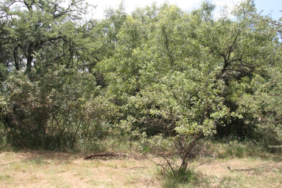  Bedroom Property for Sale in La Camargue Private Country Estate North West